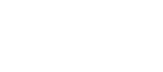 Логотип 21Век Софт